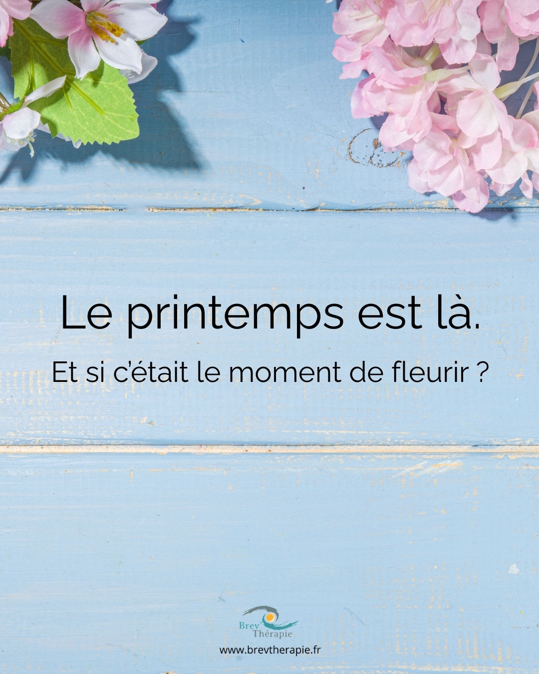 stage savourer la vie