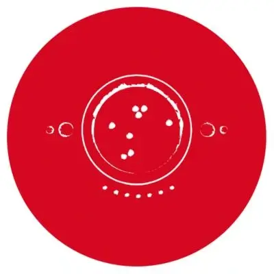 CONSTELLATIONS FAMILIALES