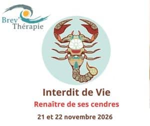 renaitre de ses cendres dates,stages,ateliers